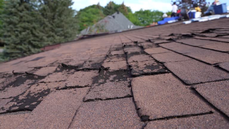 Best Rubber Roofing (EPDM, TPO)  in Canfield, OH