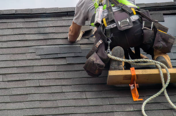 Best Storm Damage Roof Repair  in Canfield, OH