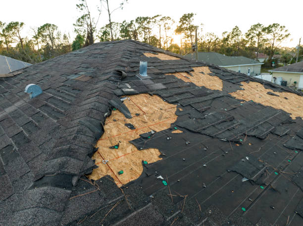 Best Roof Maintenance and Cleaning  in Canfield, OH