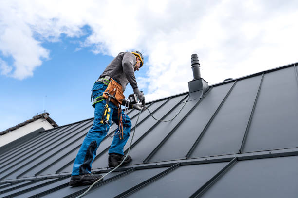 Best Skylight Installation and Repair  in Canfield, OH